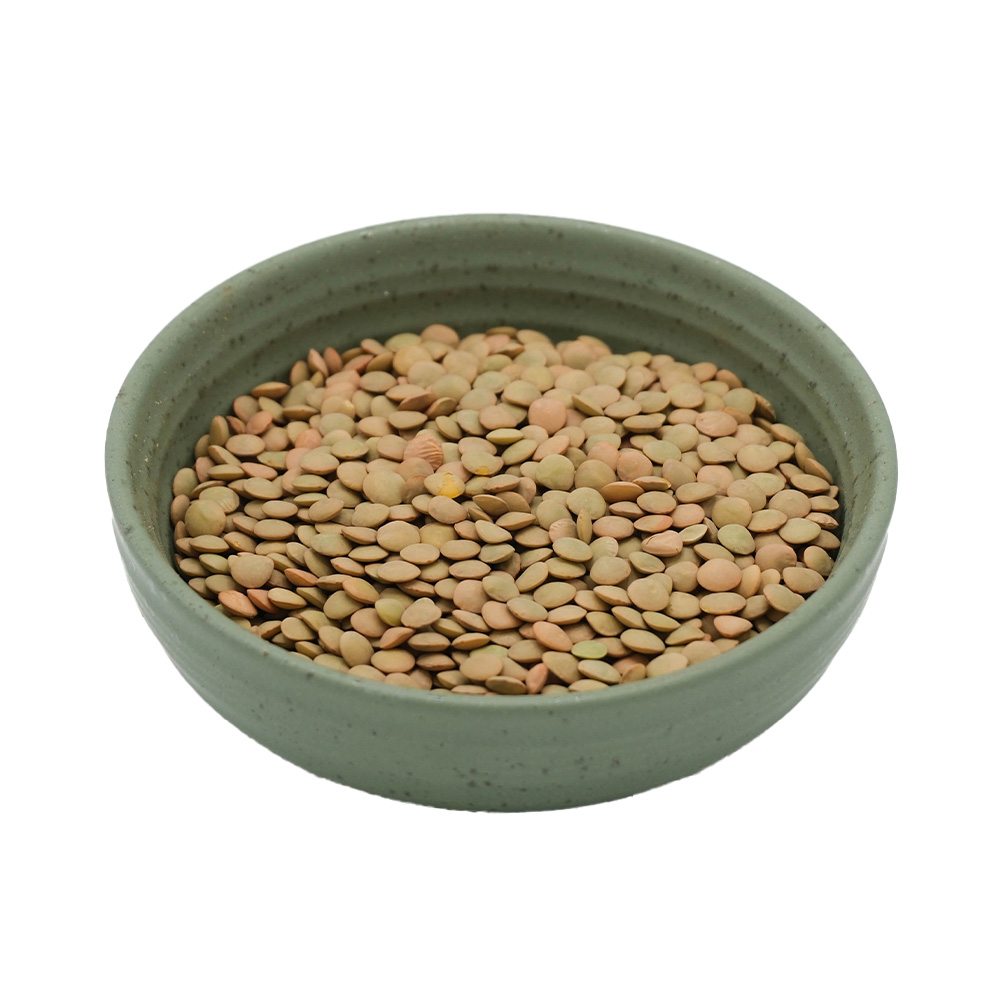 OB Organic Green Lentils