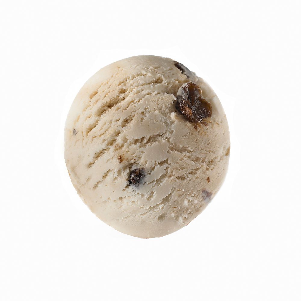 Childhay Manor Rum & Raisin Ice Cream