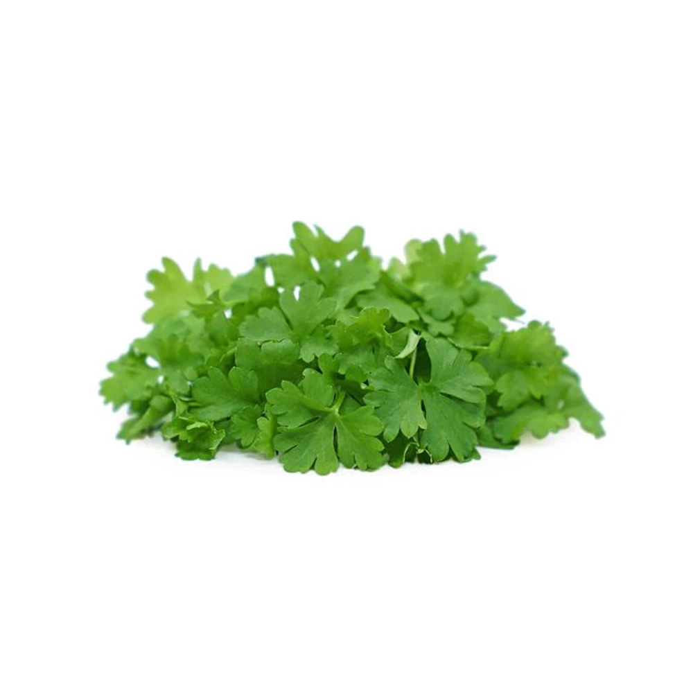 Micro Parsley