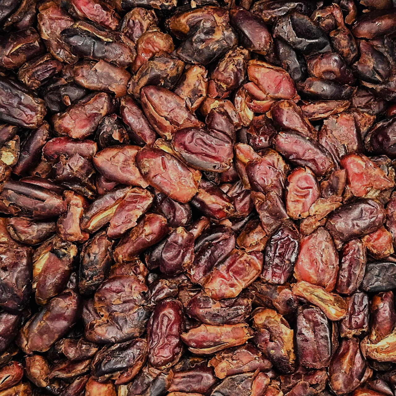 Freeflow Pitted Dates