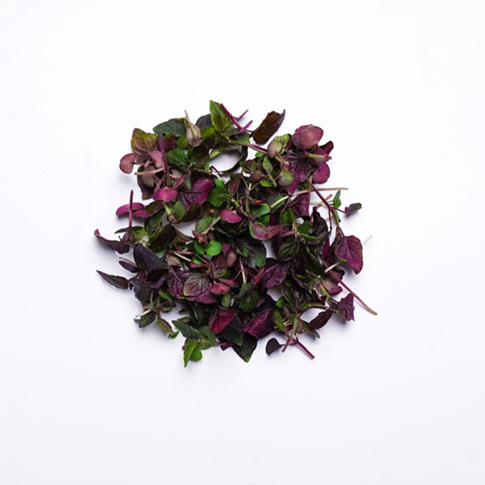 Micro Purple Shiso Cress