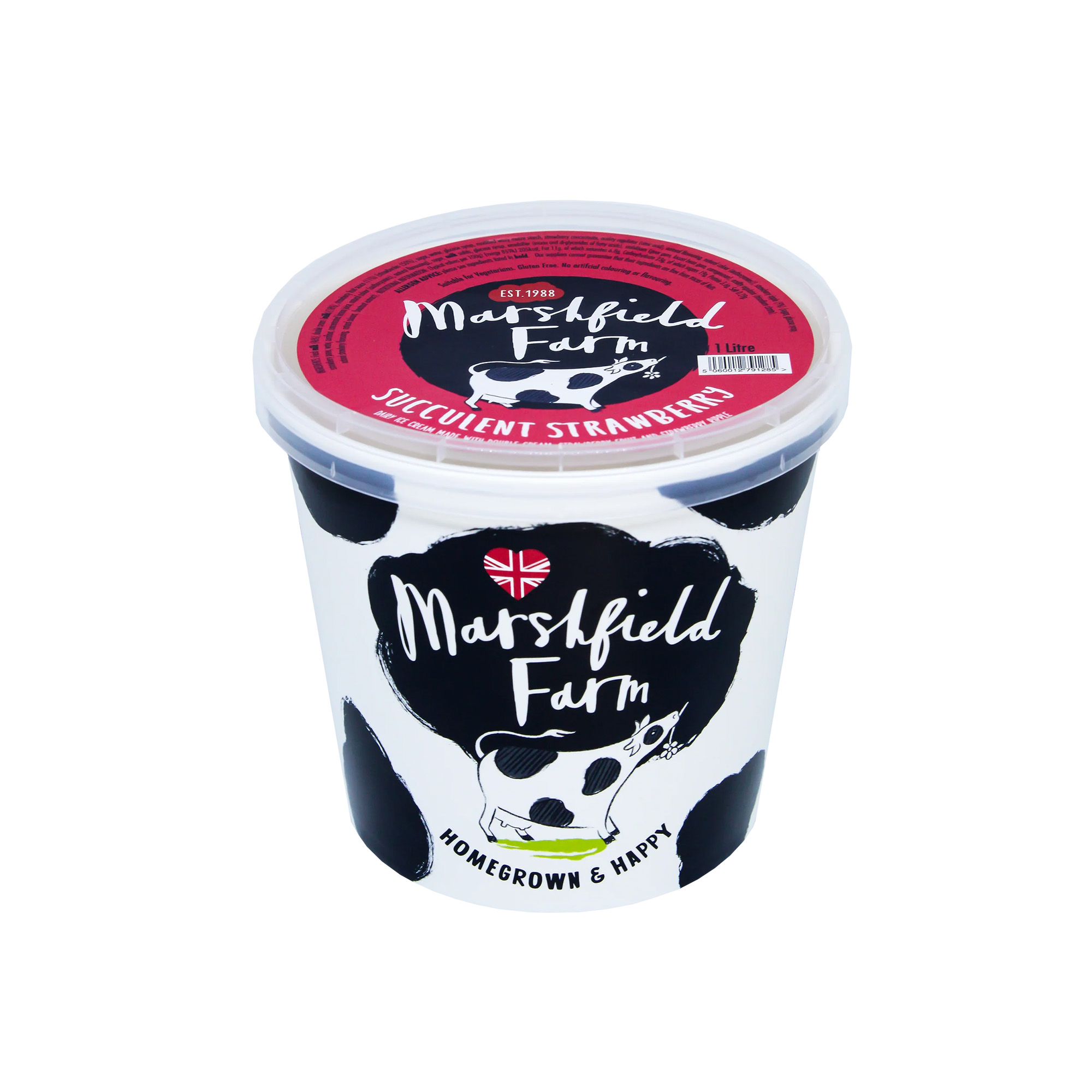 Marshfield Succulent Strawberry Mini Tub