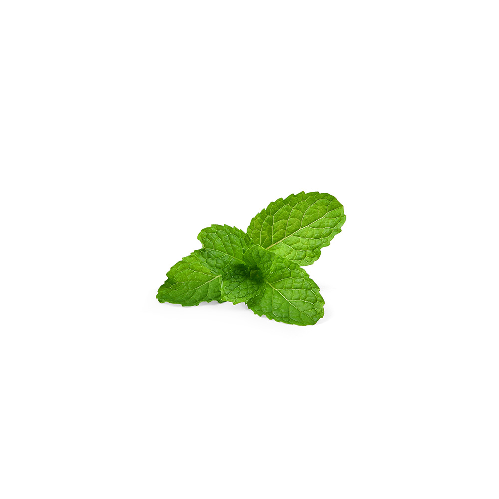 Micro Mint