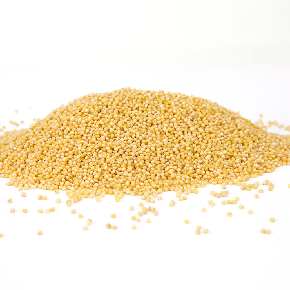 Millet Grain