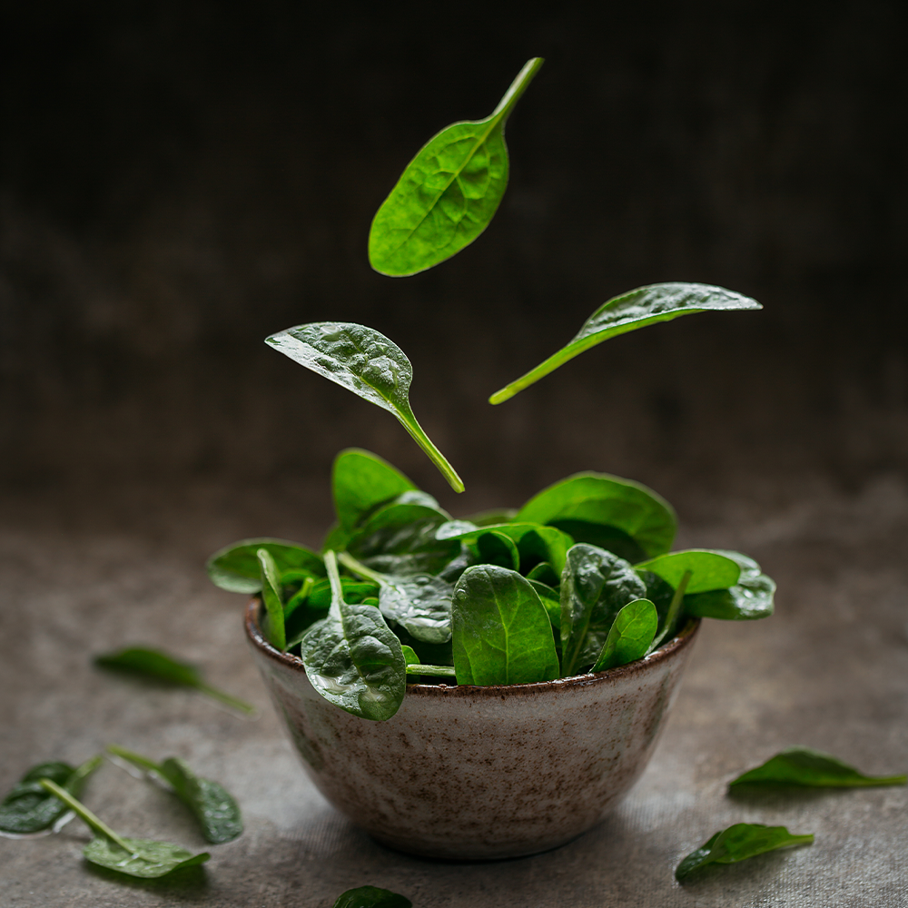 Pousse (Baby Spinach)