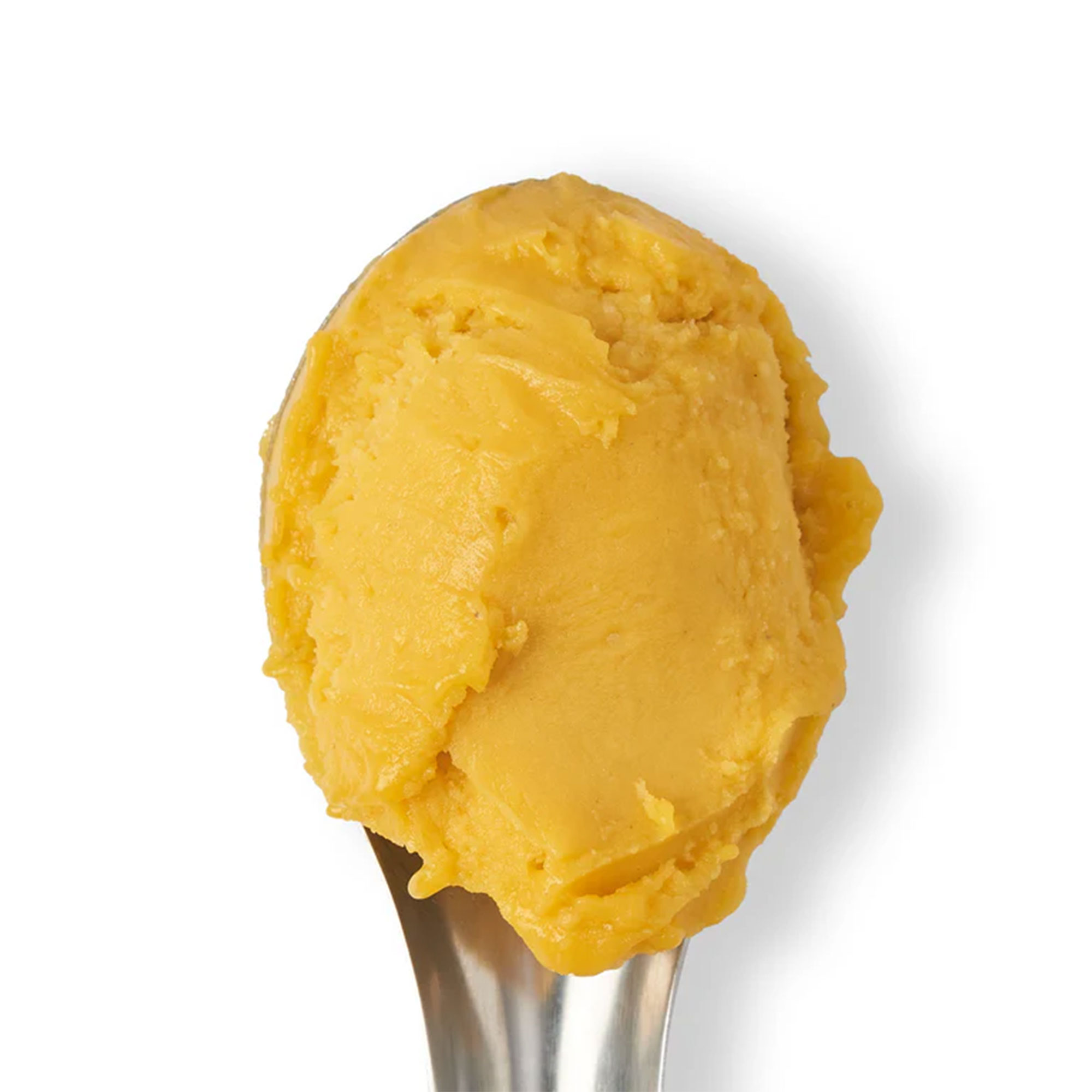 Baboo Mango Sorbet
