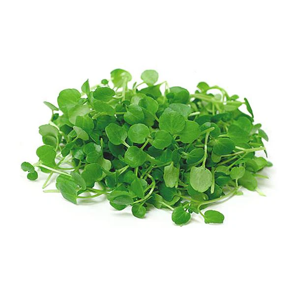 Micro Watercress