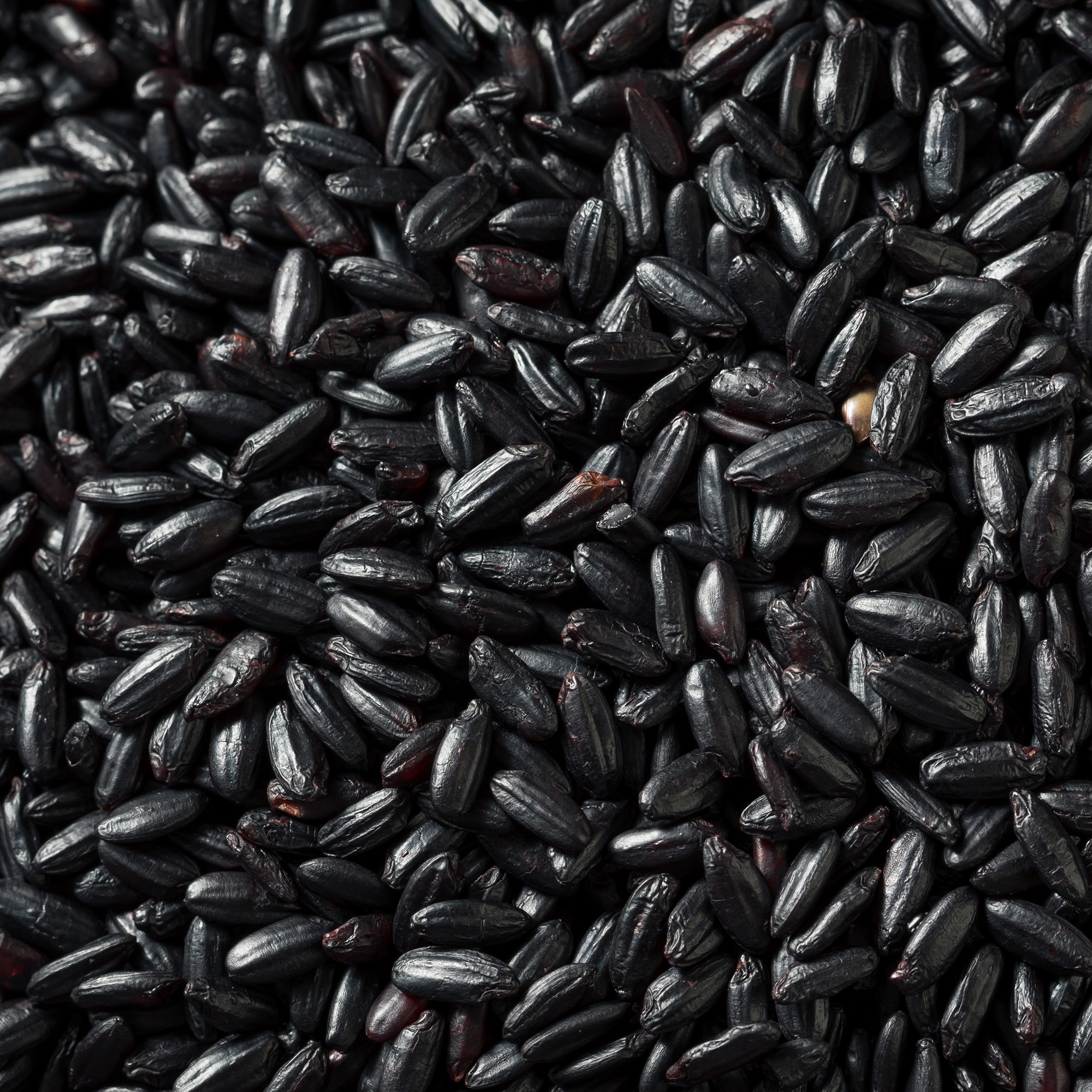 Black Rice