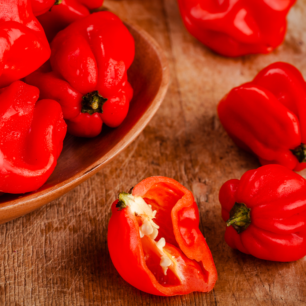 Scotch Bonnet Chillies