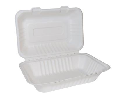 Bagasse Large Box 9”x6”