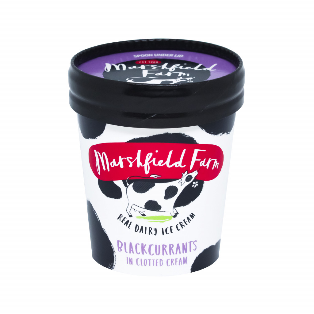 Marshfield Blackcurrant & Clotted Cream Mini Tub