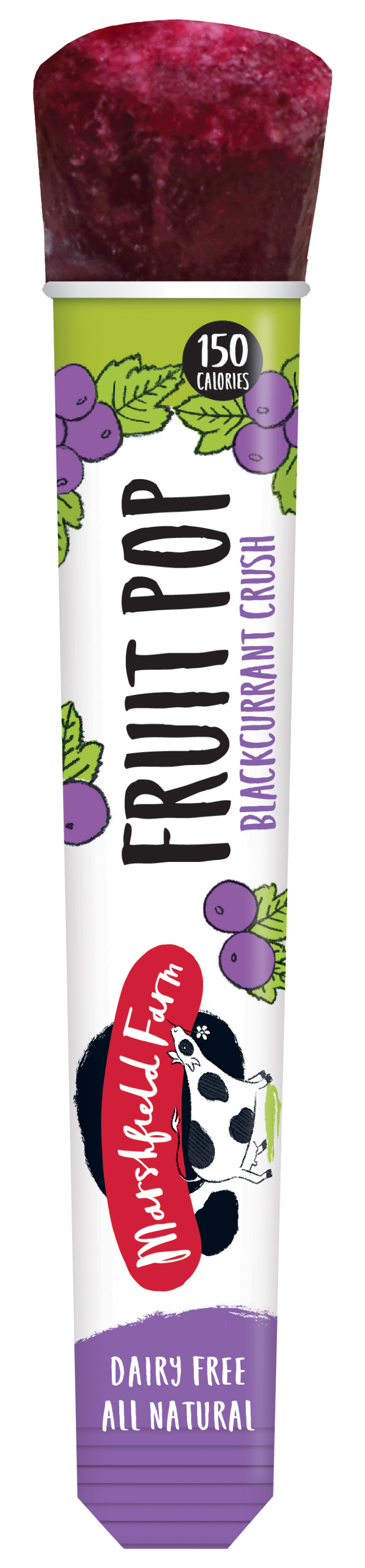 Marshfield Blackcurrant Fruit Pop