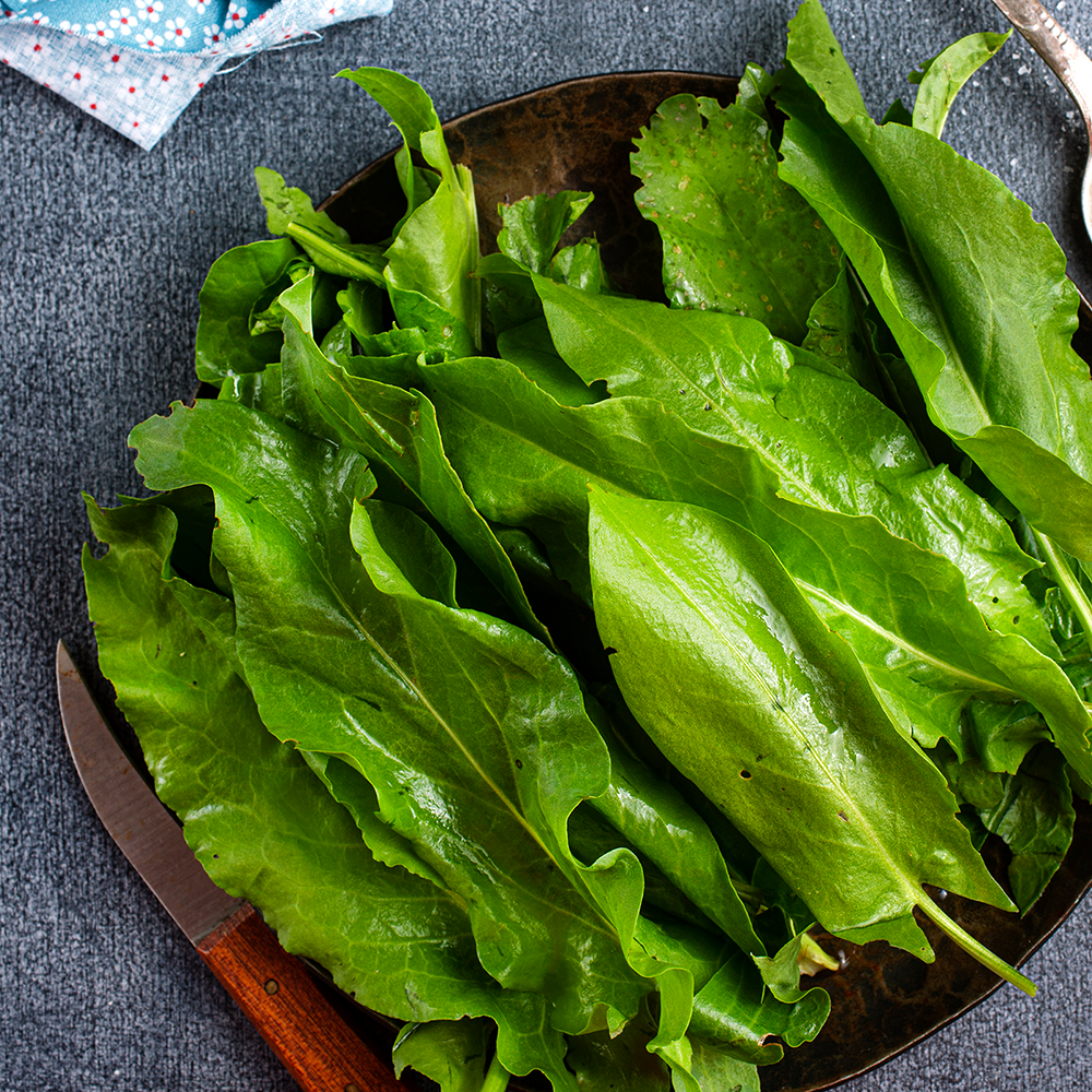 Fresh Sorrel