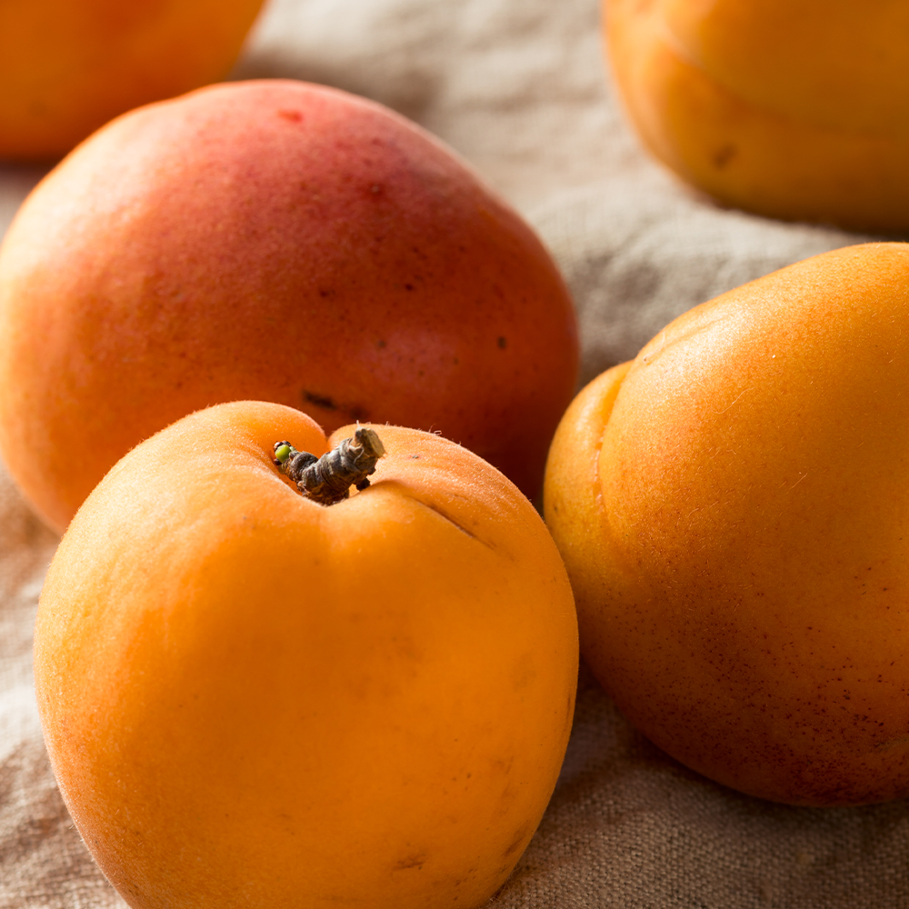 Fresh Apricots