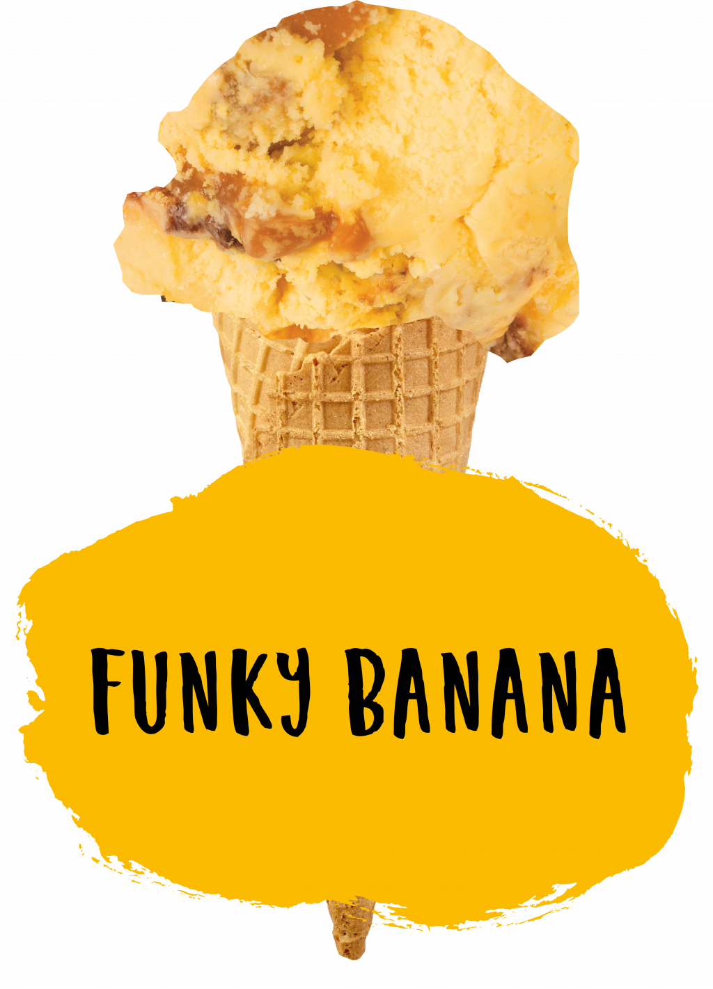 Marshfield Funky Banana