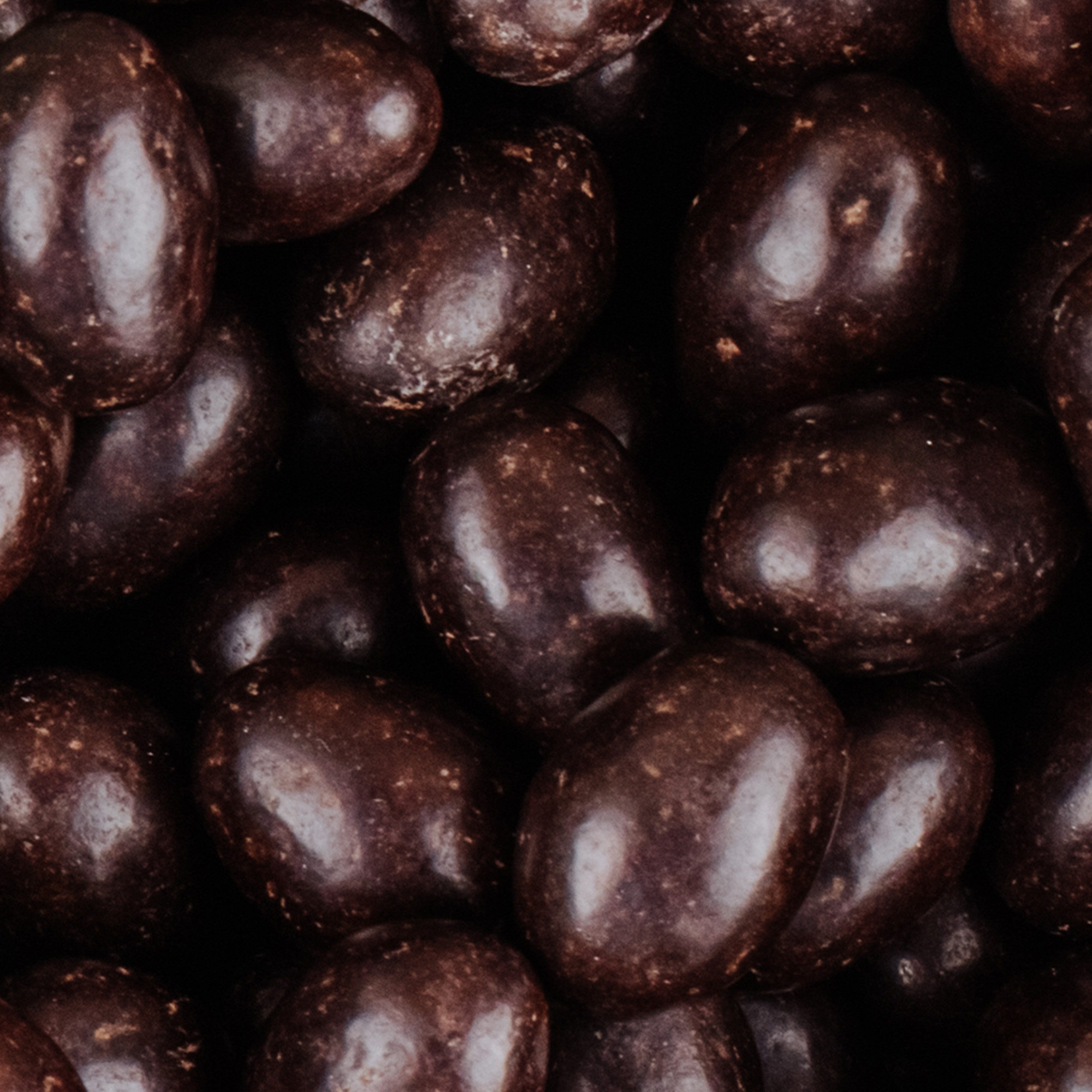 Dark Chocolate Coated Brazils