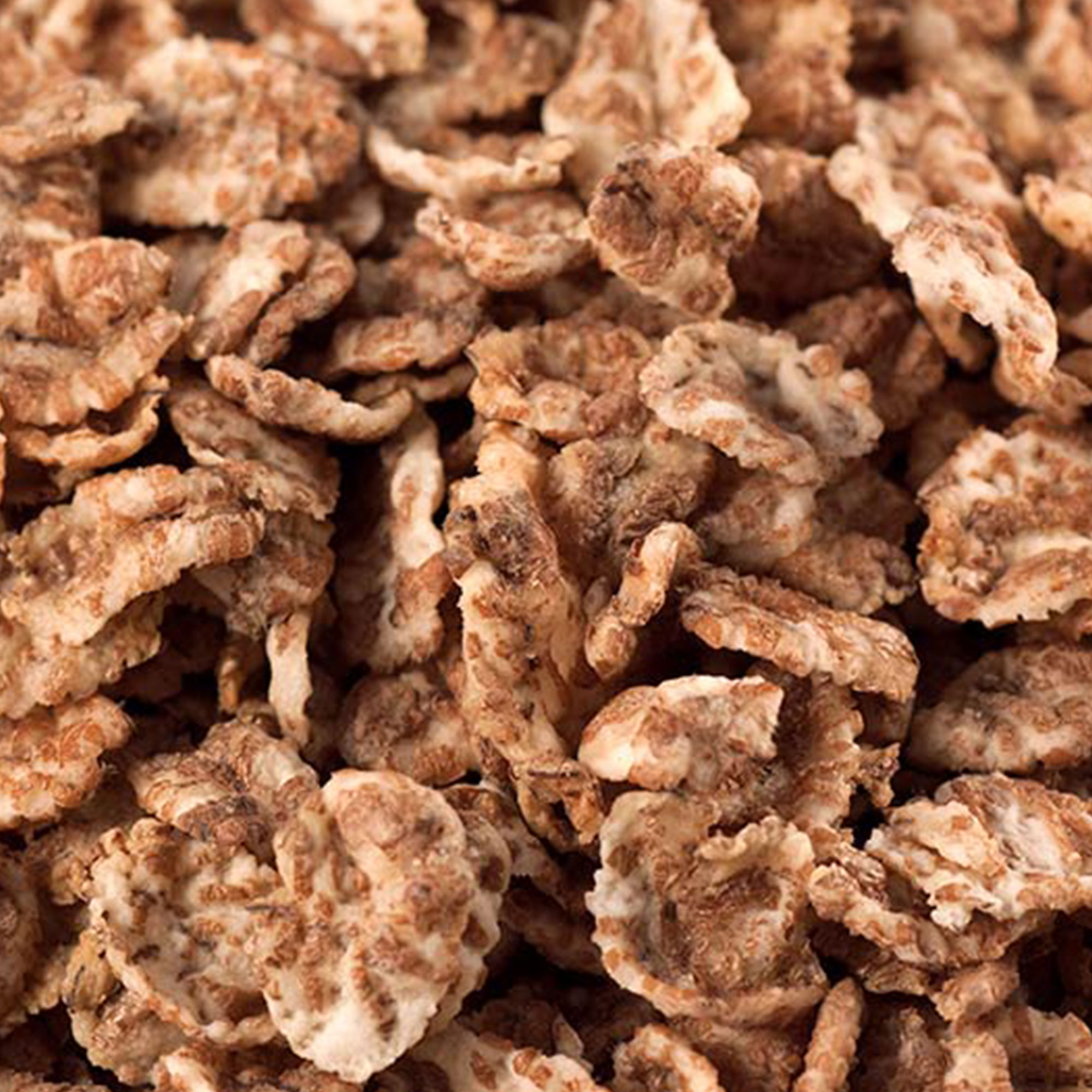 Toasted Malted Wheat Flakes