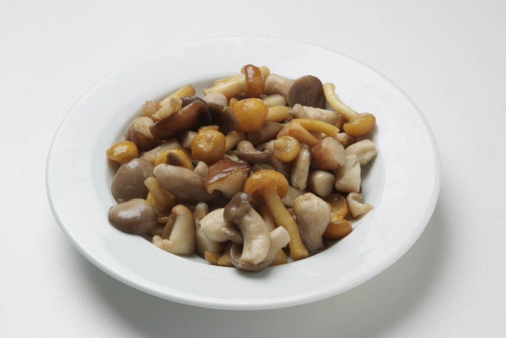Woodland Mushroom Mix