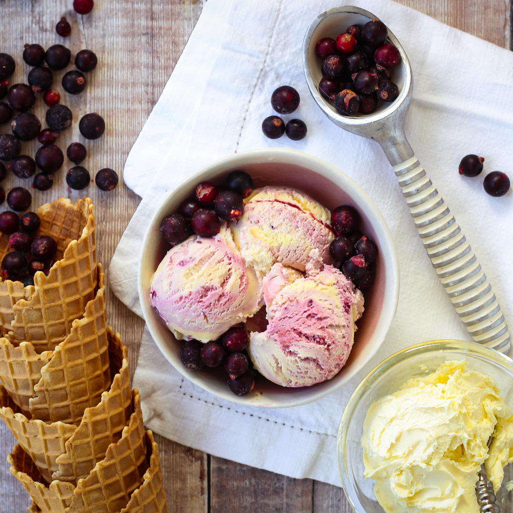 Marshfield Blackcurrant & Clotted Cream Mini Tub