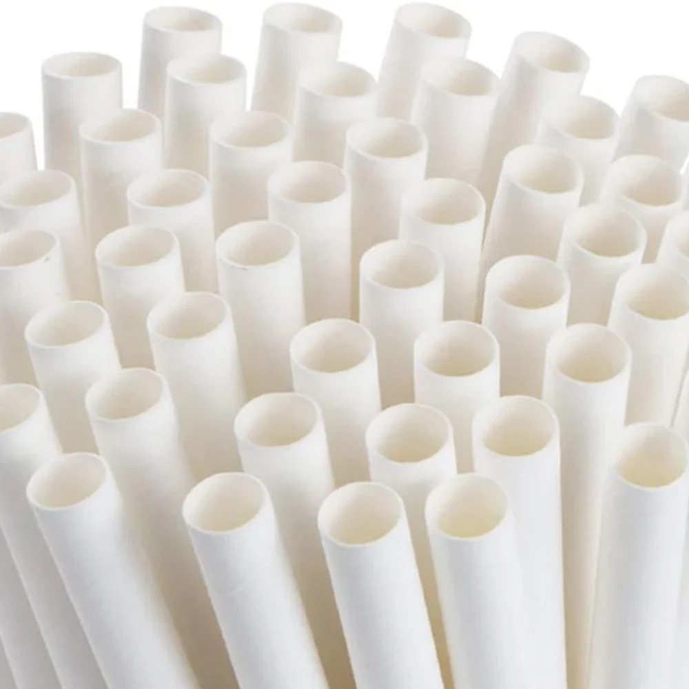 F'real Paper Straws
