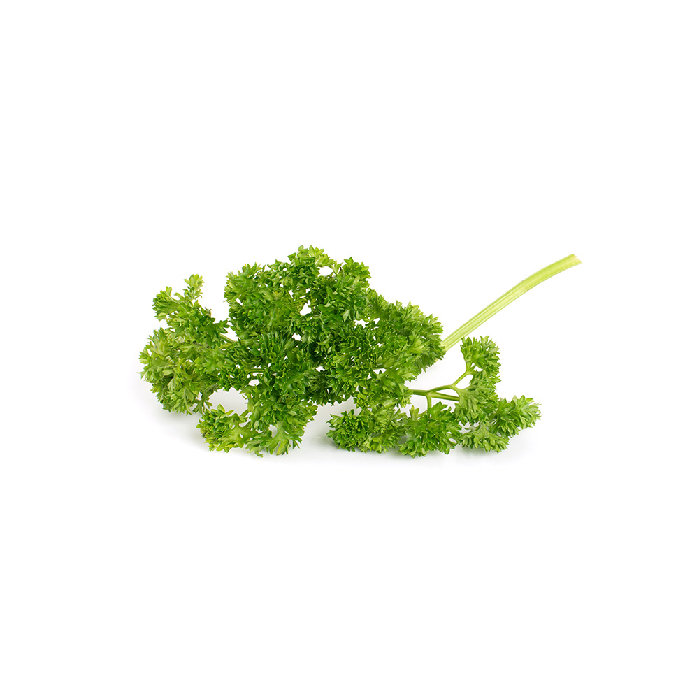 Curly Parsley