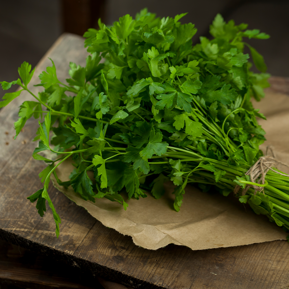 Fresh Flat Parsley Bunch