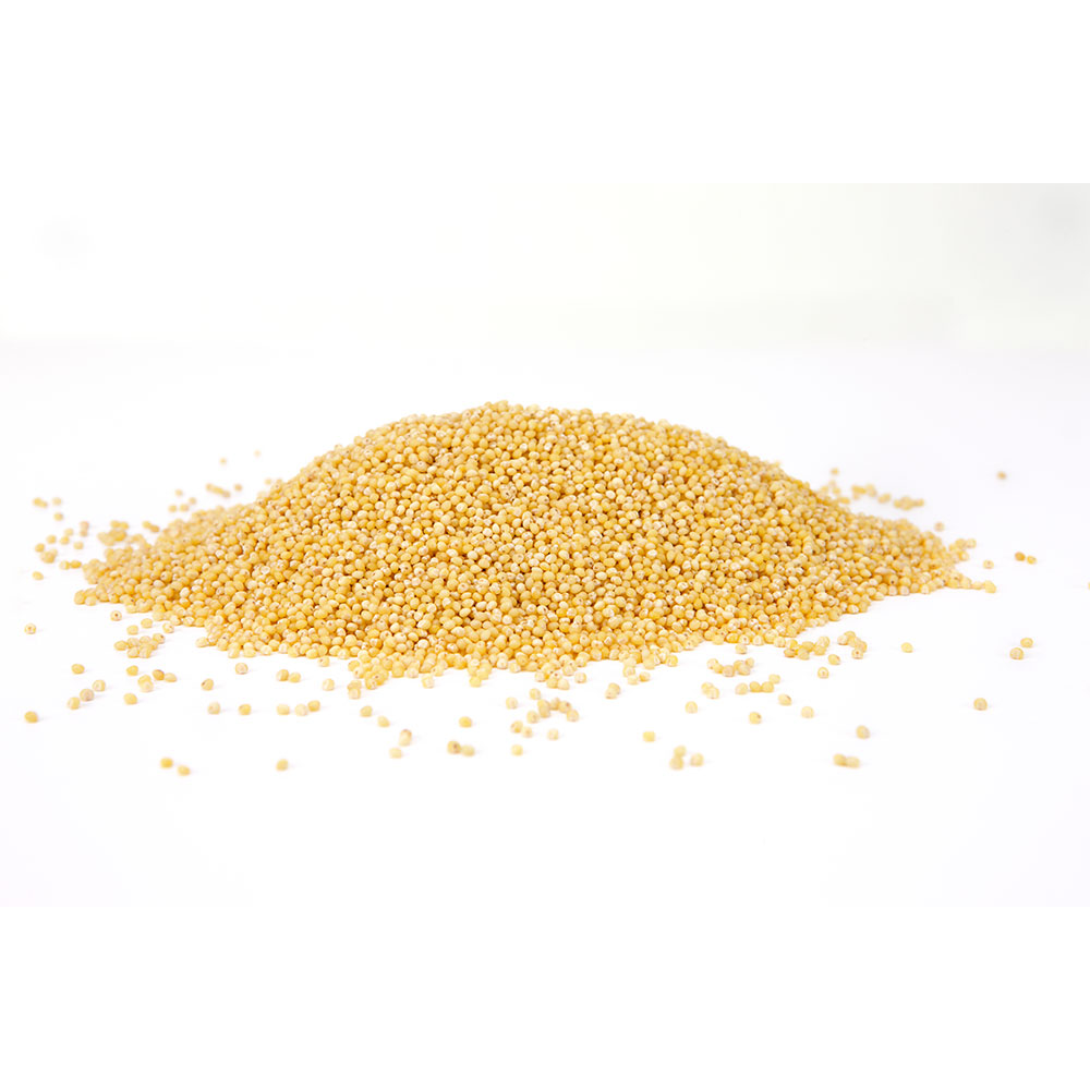 Organic Millet Grain