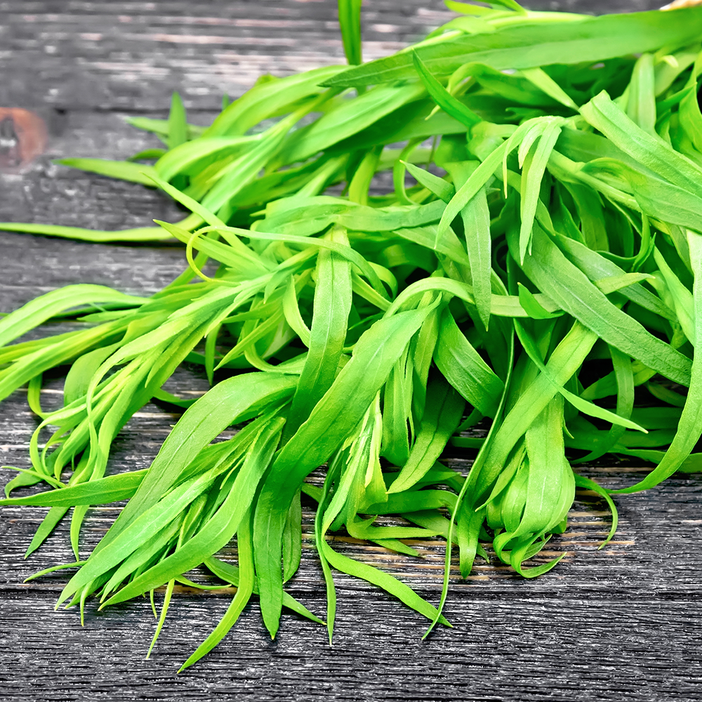 Fresh Tarragon