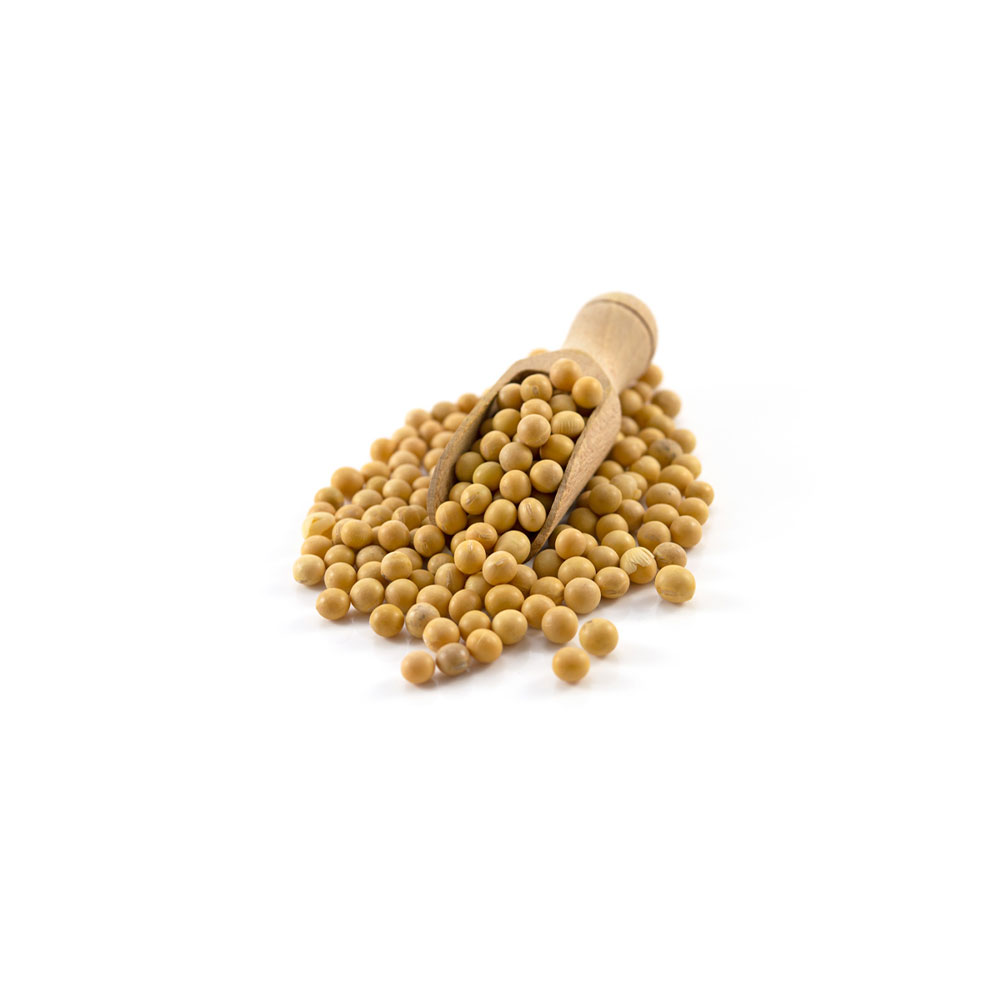 Organic Soya Beans