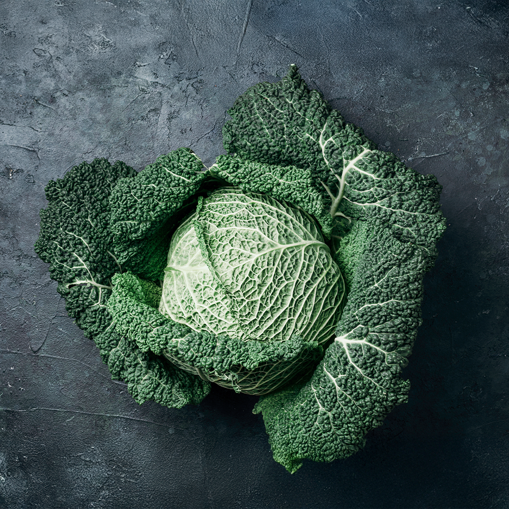 Savoy Cabbage Medium