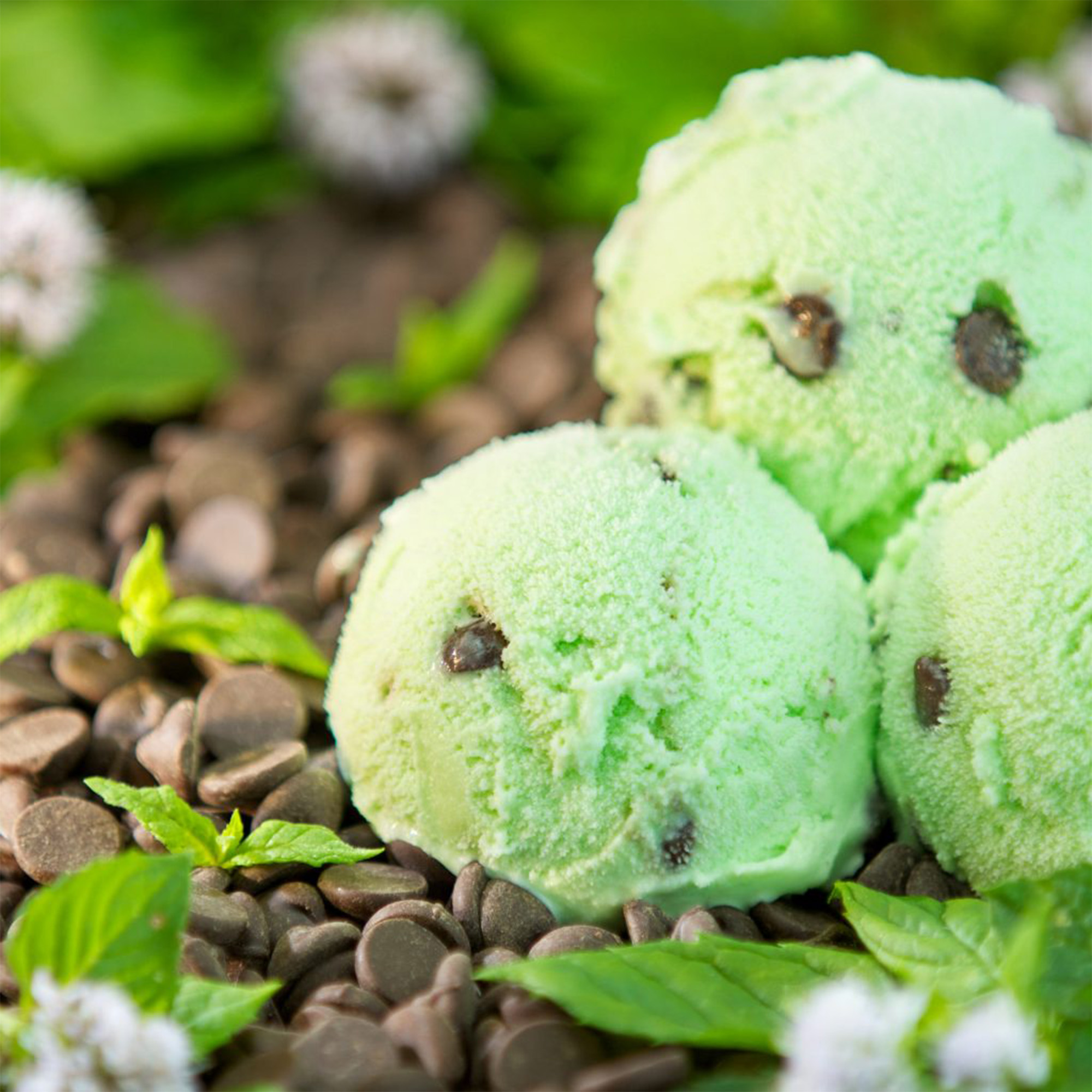 Rossi Mint Chocolate Chip Ice Cream