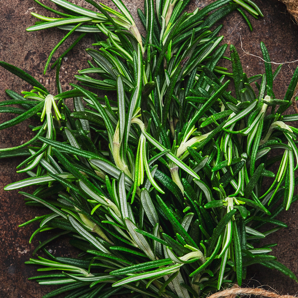 Fresh Rosemary