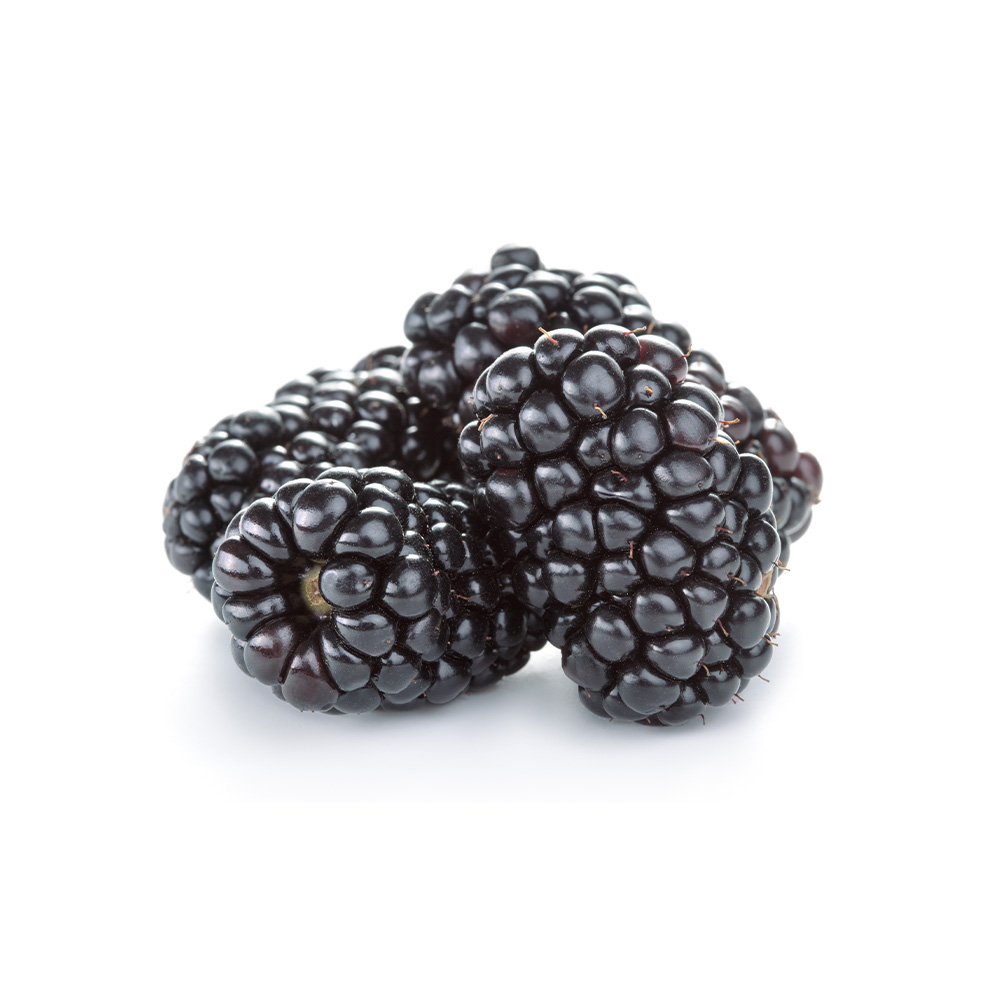 English Blackberries