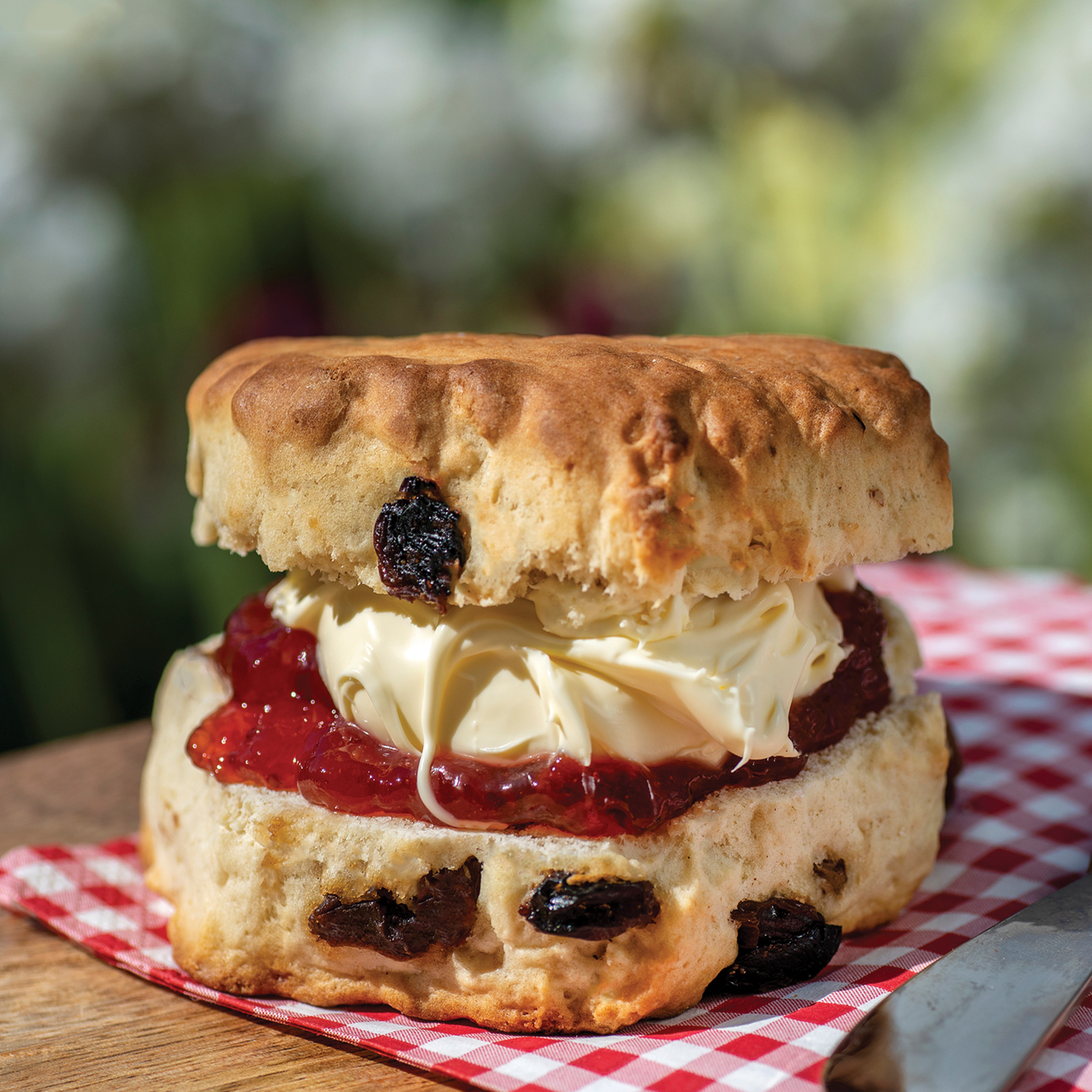 Haywood All Butter Sultana Scones