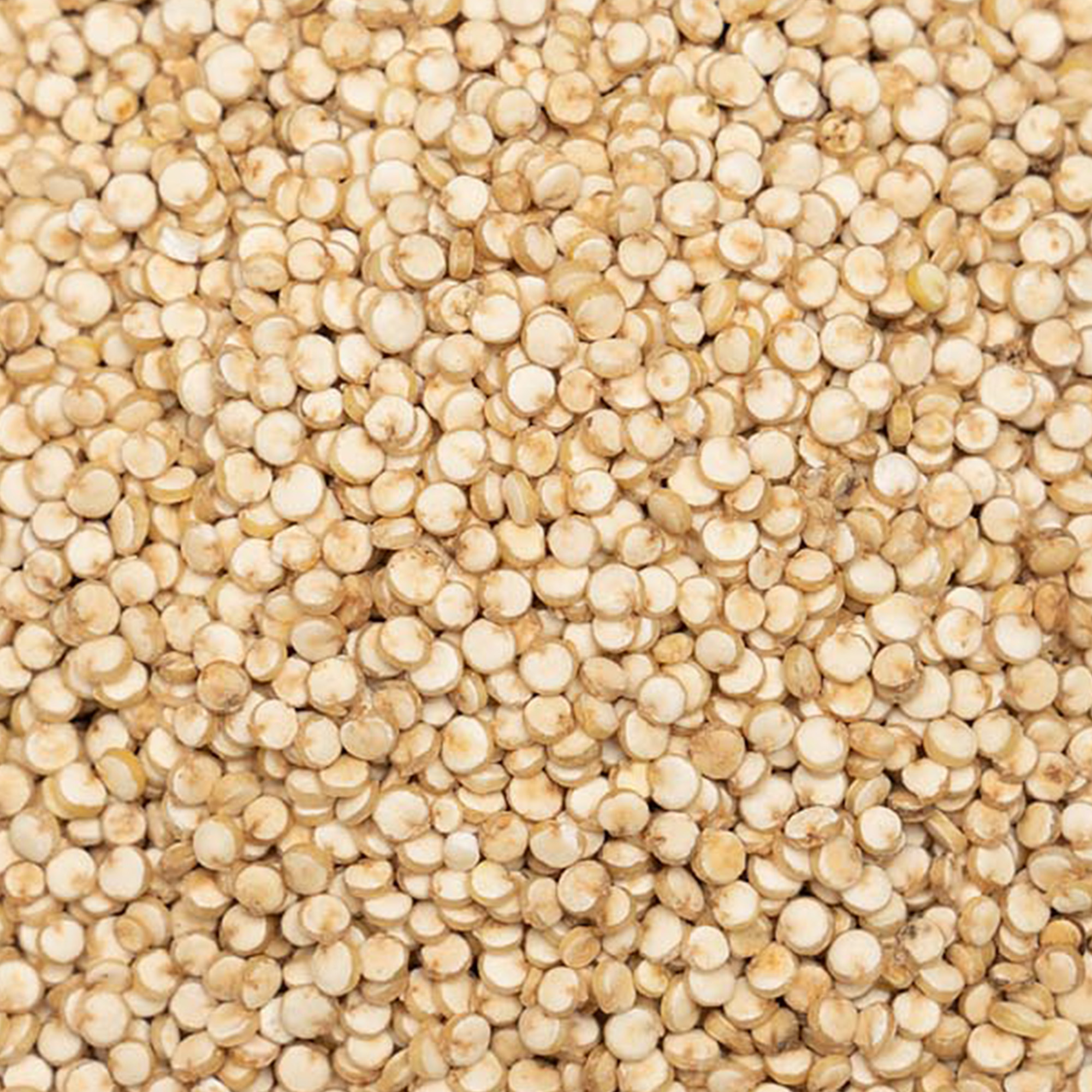 White Quinoa