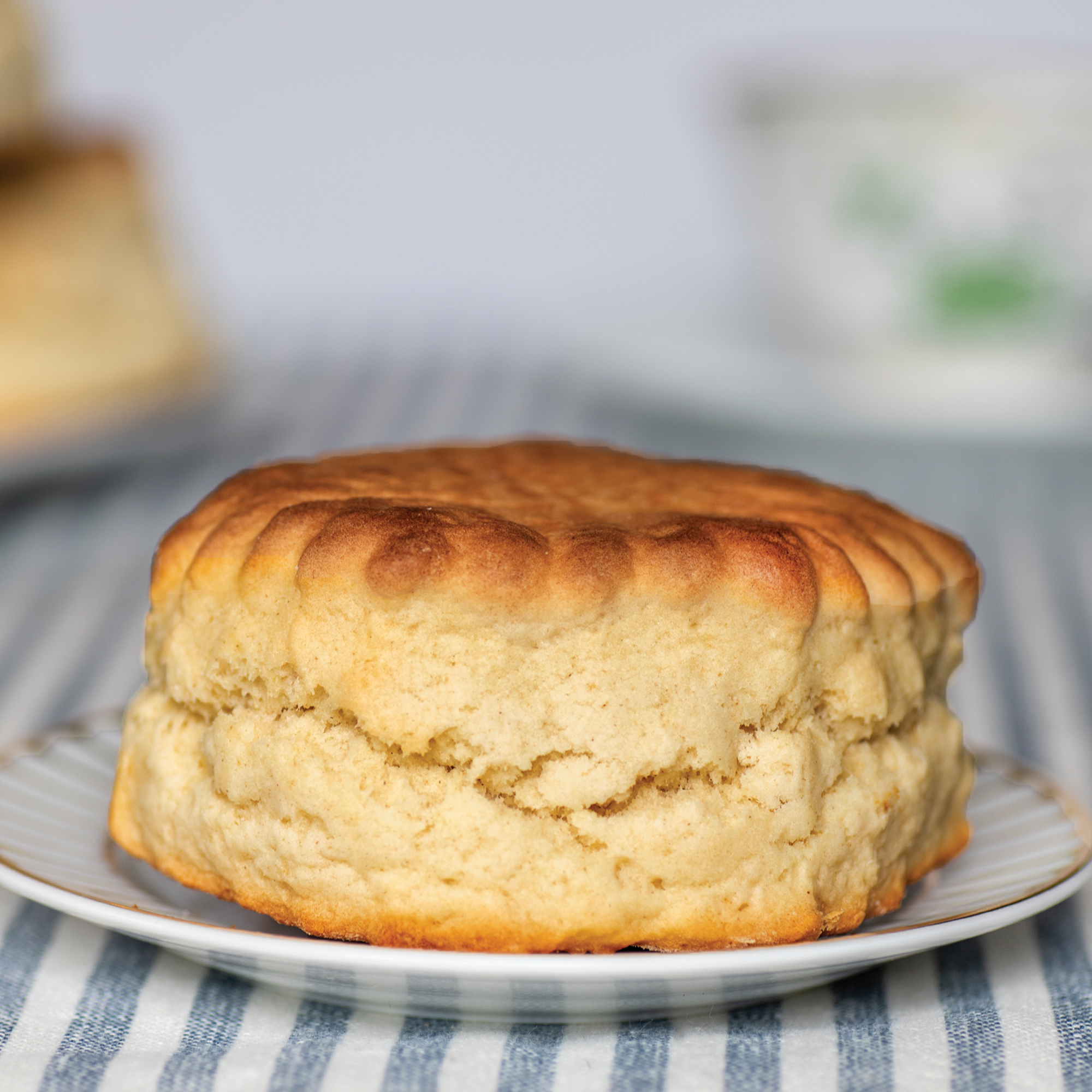 Haywood All Butter Plain Scone