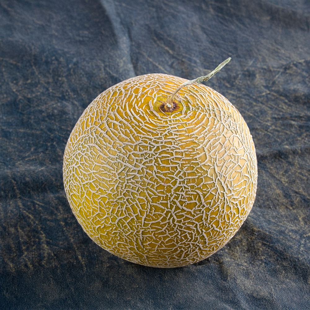 Galia Melon