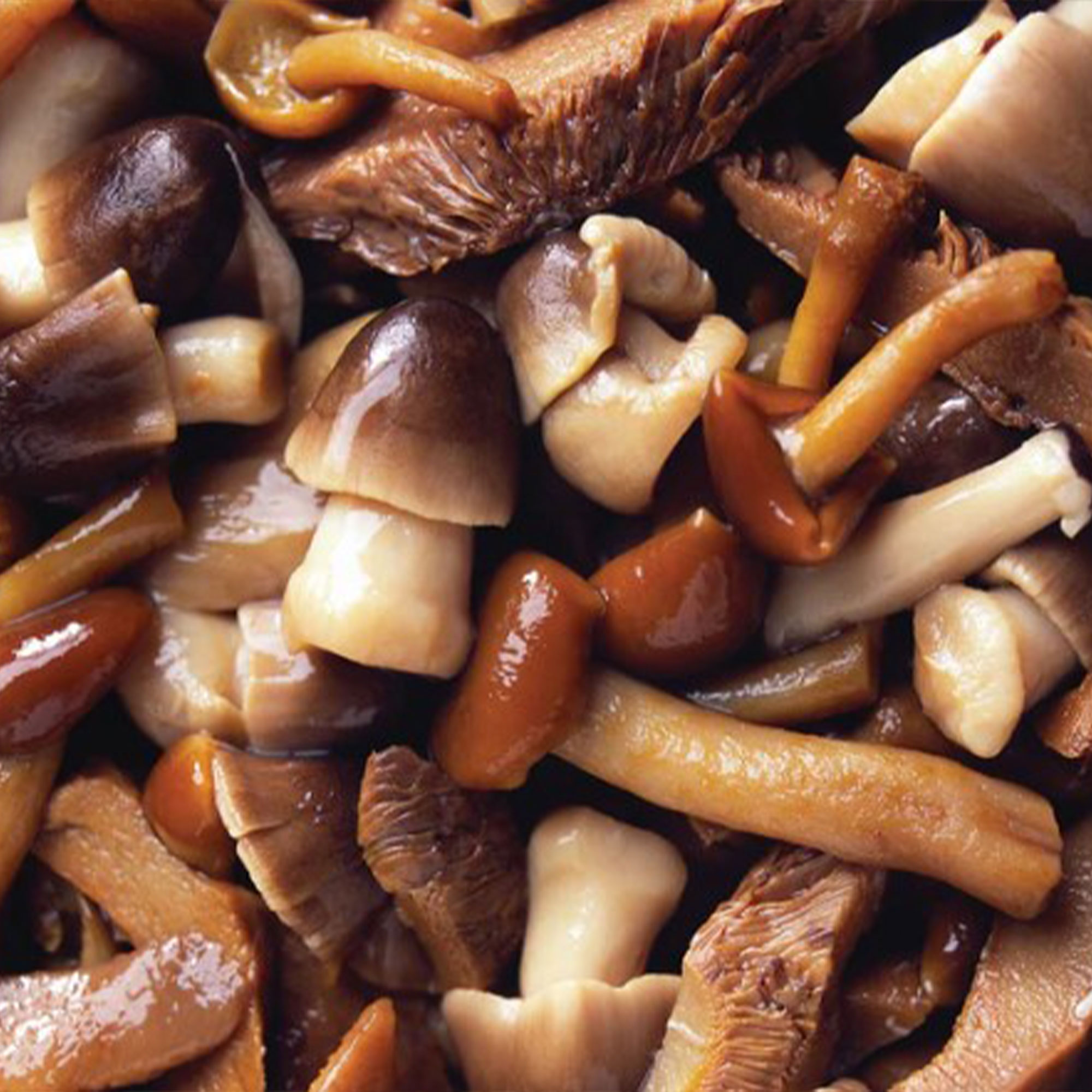 Marinated and Seasoned Wild Mushroom Mix