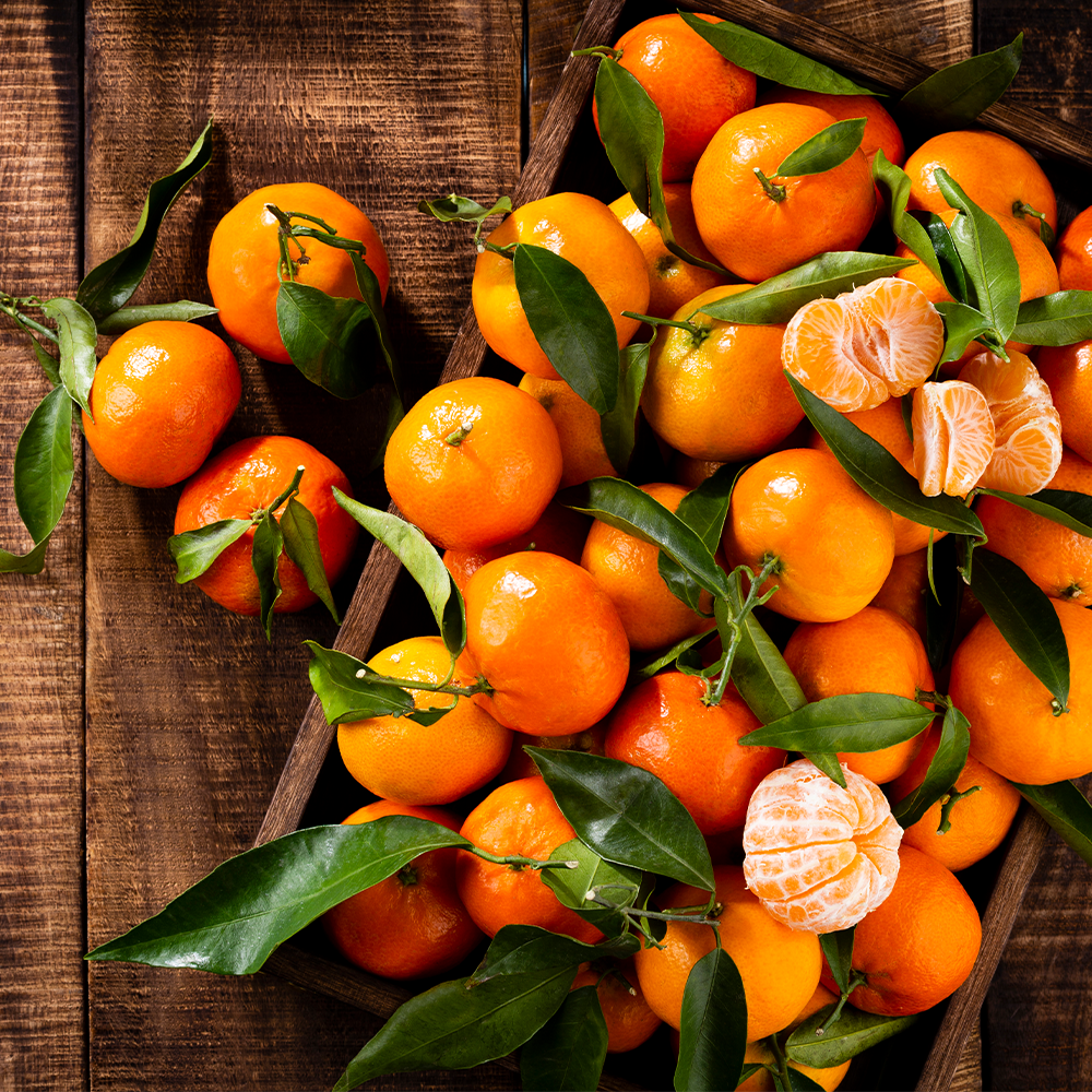 Satsuma Nadorcot