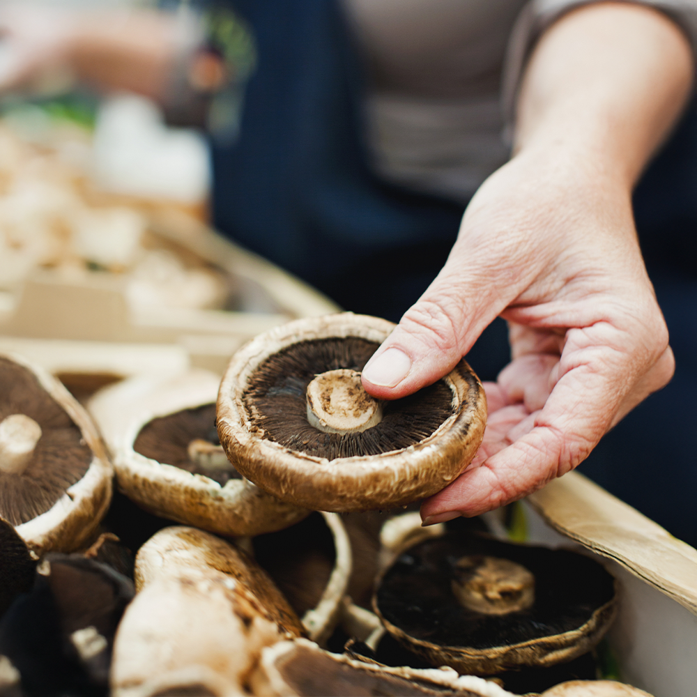 Flat Mushrooms