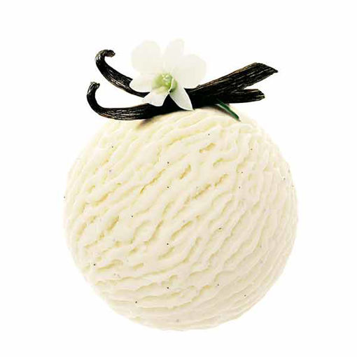 Movenpick Vanilla Dream