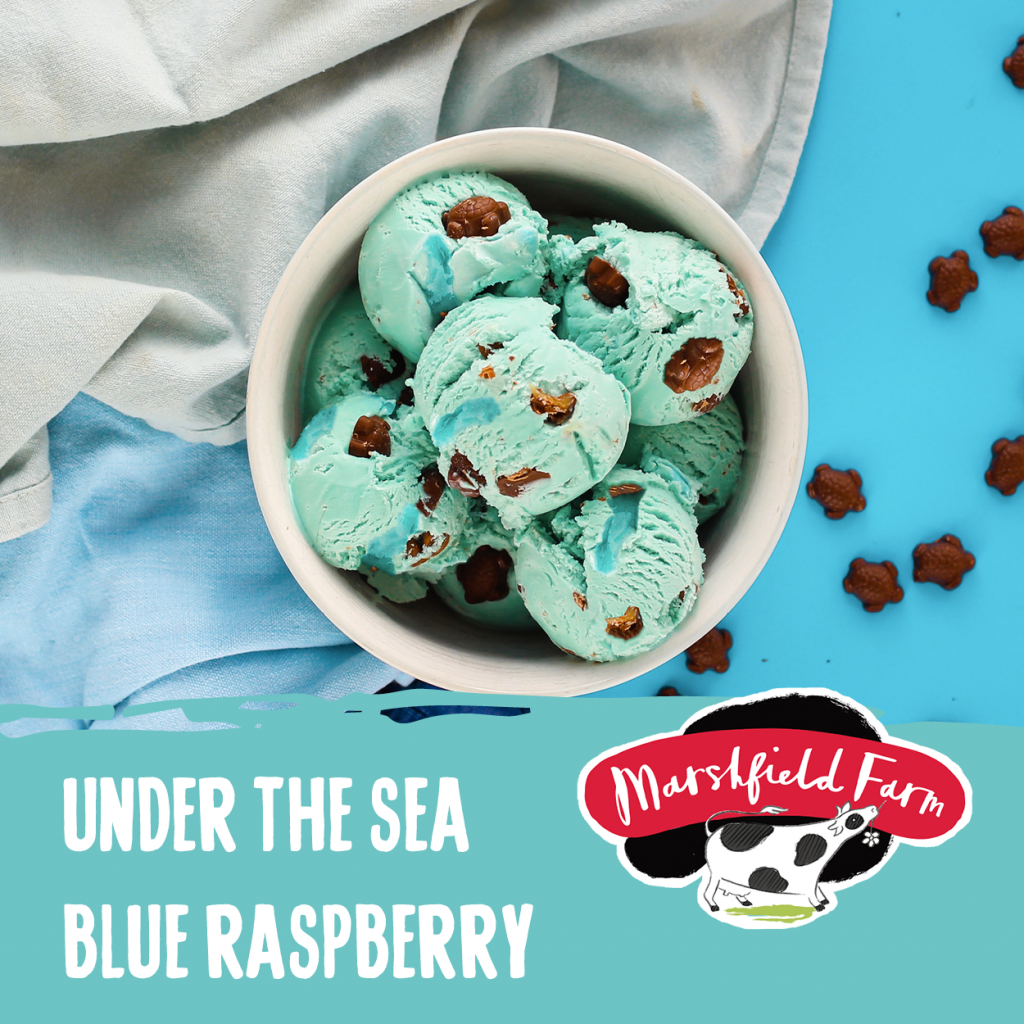 Marshfield Under the Sea Ice Cream