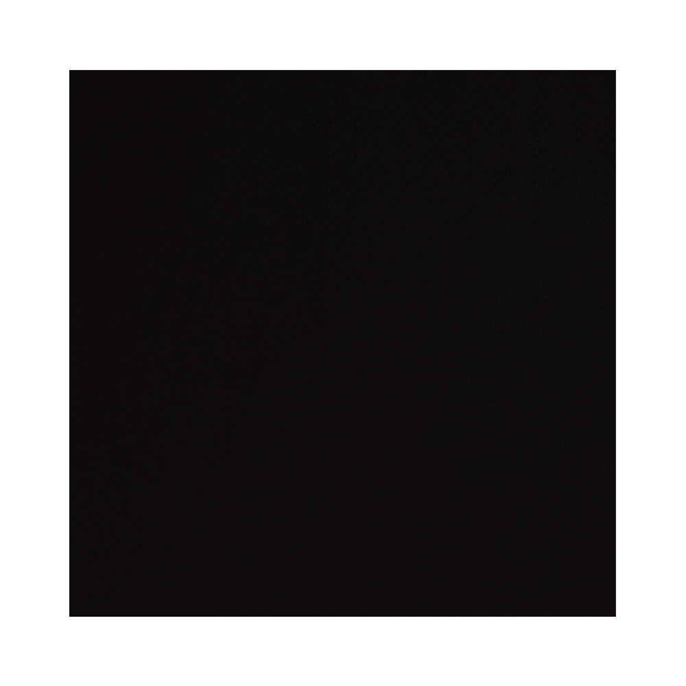 2 Ply 24cm Black Cocktail Napkins